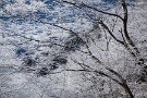 03 枝の一本一本までしっかり柔らかい雪を纏っています。
Canon EOS 5D Mark II
Canon EF24〜105mm F4