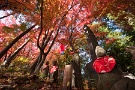 04 こちらは札所1番の紅葉。まさに盛りです。Panasonic LUMIX GX7　Panasonic G VARIO 7-14mm F4