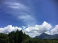 01 今日は朝から爽やかな青空が広がりました。山々に夏雲が懸かり、夏至間近の夏空です。秩父ミューズパークではホトトギスの鳴き声に混ざり、早くもニイニイゼミが鳴き始めています。iPhoneにて撮影