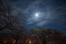 01 4月16日の仕事帰り、ふと見上げると月に暈が… Canon EOS 5D Mark IV　SIGMA12〜24mm