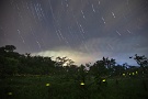 01 雨上がりで星が綺麗だったので星を流してみました。翌日もふらっと来てみたのでまた後日お送りします。Canon EOS 5D Mark IV　SIGMA 24-60mm F2.8 EX DG