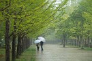 01 先日の雨の日、流石にジョギングはできないので散歩がてらカメラ片手に秩父ミューズパークを散策しました。Panasonic LUMIX GX7　Panasonic G VARIO HD 14-140mm