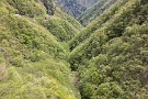 05 谷間は新緑に溢れています。Canon EOS 5D Mark IV　Canon EF24〜105mmF4