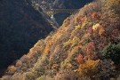 01 今日はドライブがてら奥秩父の紅葉を撮影してきました。雁坂トンネル手前の豆焼橋より雁坂大橋。標高約1,100mですがまさに紅葉の見頃でした。今年は例年より遅いようです。Canon EOS 5D Mark IV　Canon EF24〜105mmF4
