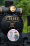 08 長野電鉄とコラボした「SL朝陽さくら×桜沢みなの　桜コラボエクスプレス」号。よく分かりませんが萌蒸気です^^; Canon EOS 5D Mark IV　Canon EF300mmF4×1.4テレコンバータ