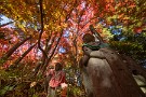03 木漏れ日の石仏と紅葉です。Canon EOS 5D Mark IV　SIGMA 12-24mm F4.5-5.6 II DG HSM