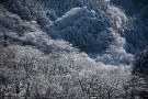 01 寒気を伴う低気圧の通過で、昨夜の秩父地方は2時間ほど雪が降りました。Canon EOS 5D Mark IV　Canon EF70〜200mmF4