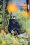 02 秩父鉄道沿線もだんだん秋色になってきました。Canon EOS 5D Mark IV　SIGMA 150-600mm F5-6.3 DG OS HSM Contemporary