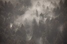 09 これは朝靄でも山火事でもありません。花粉です(^_^;) 今日の秩父地方は周りの山がこんな感じでした。車にもだいぶ花粉が積もっていました。ちなみに私は花粉症ではないのでくしゃみひとつ出ませんが、 これが北西風に乗って東京方面に飛んでいくのですね…　Canon EOS 5D Mark IV　SIGMA 150-600mm F5-6.3 DG OS HSM Contemporary